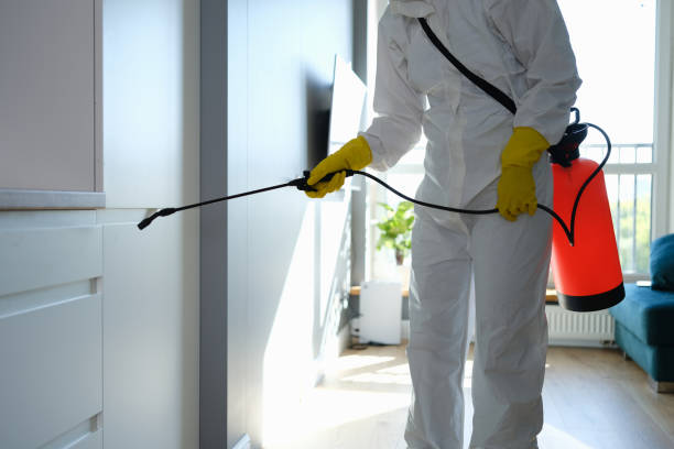 Mold Removal and Inspection in Cornish, ME