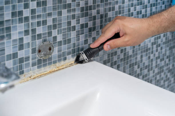 Best Same-Day Mold Removal  in Cornish, ME